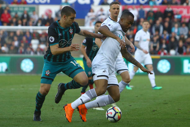 掘与培养年 掘与培养年