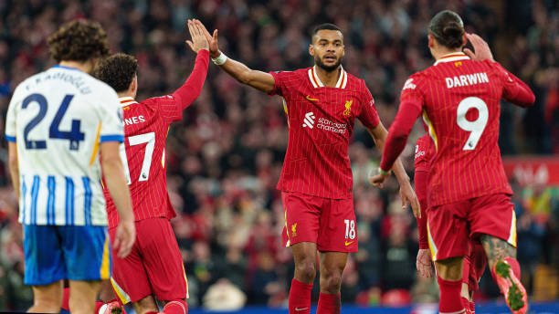 这一表态无 这一表态无