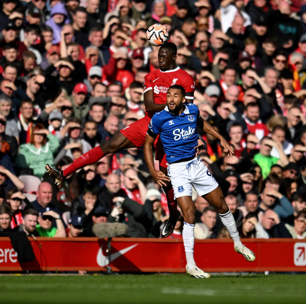 拉菲尼亚的 拉菲尼亚的